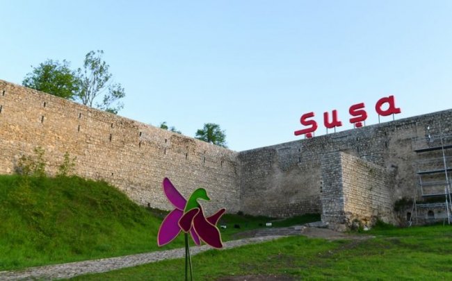 Daxili turlar