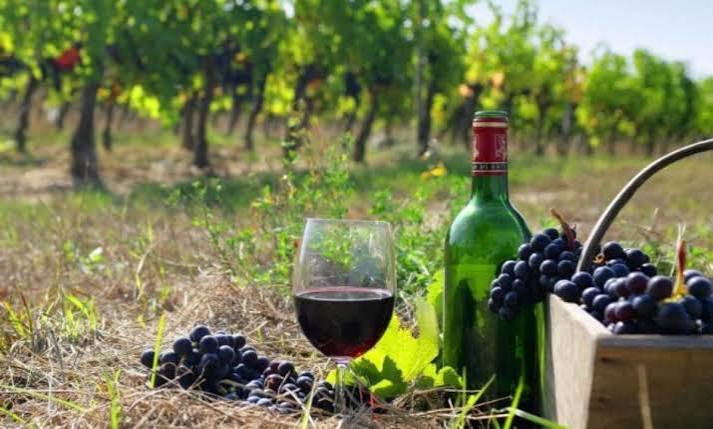 Wine Tour in Azerbaijan:  Gastro tour